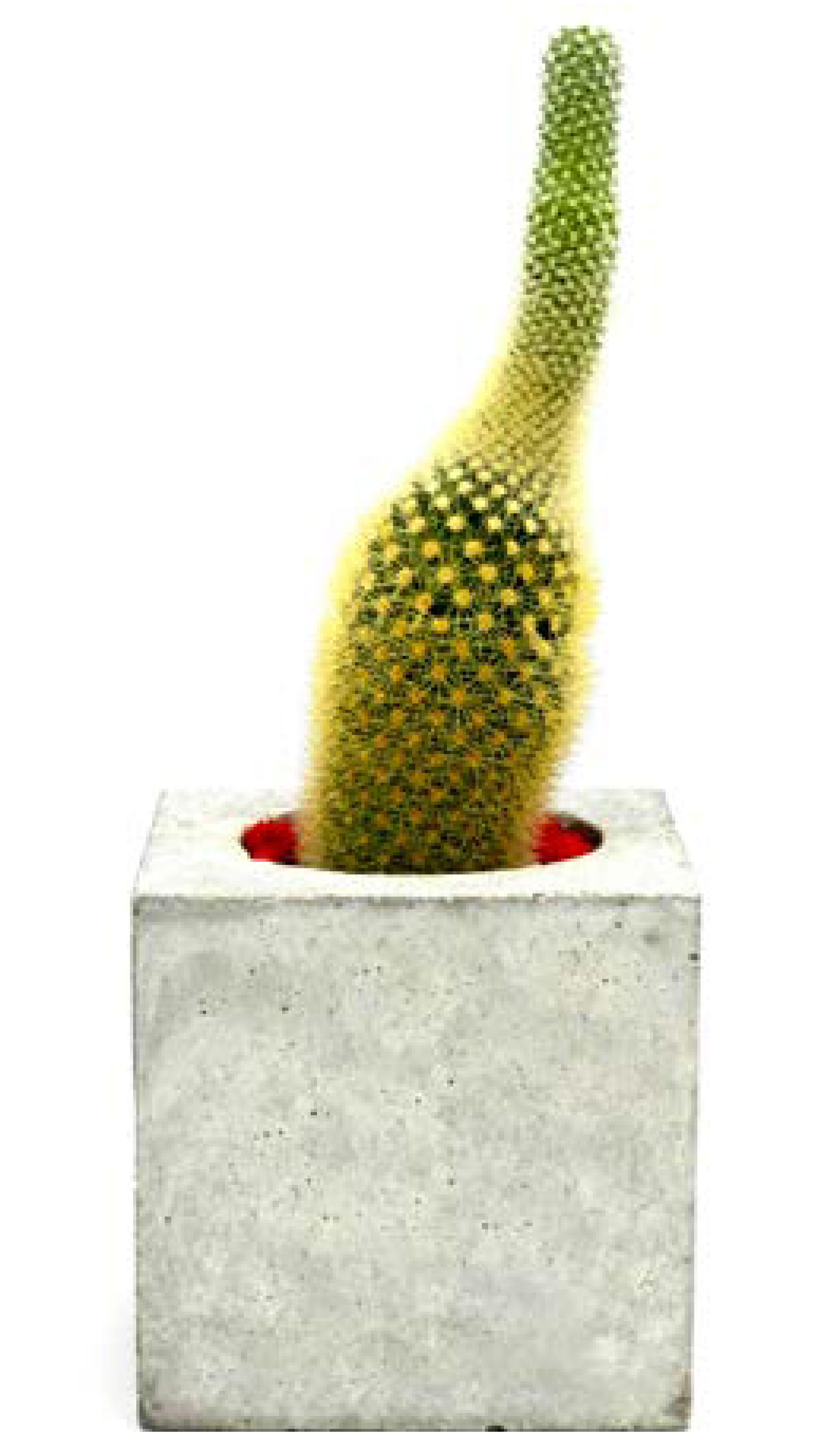 Jazzy Elite Construction Shopping Center